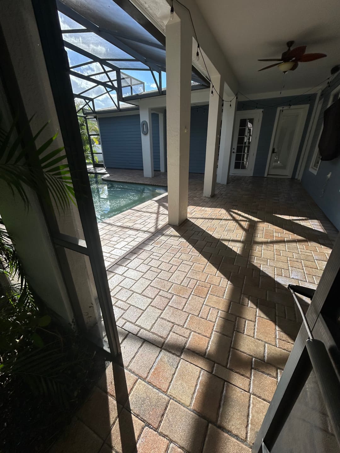 Sunlit patio with pavers and pool view, framed by indoor plants and a screened enclosure.