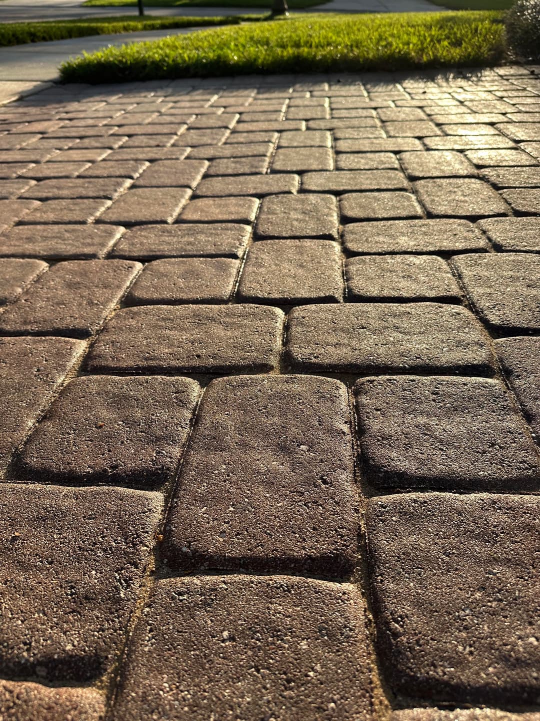 Close-up of textured brick pavers in a well-maintained walkway. Green grass in the background.