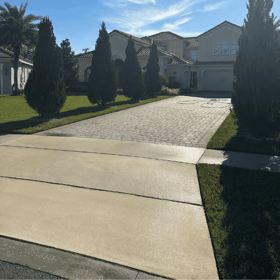 Tree-lined driveway leading to a modern house under a clear blue sky.