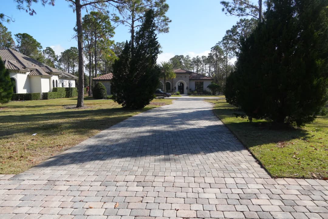 Paved driveway leading to a residential house surrounded by trees and greenery.