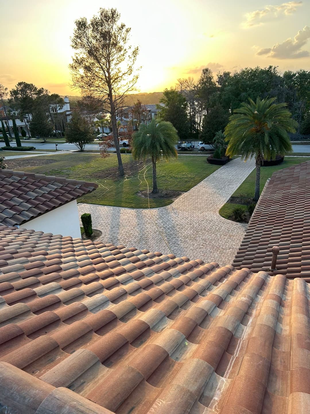Roof perspective view at sunset, showcasing landscaped yard and palm trees.