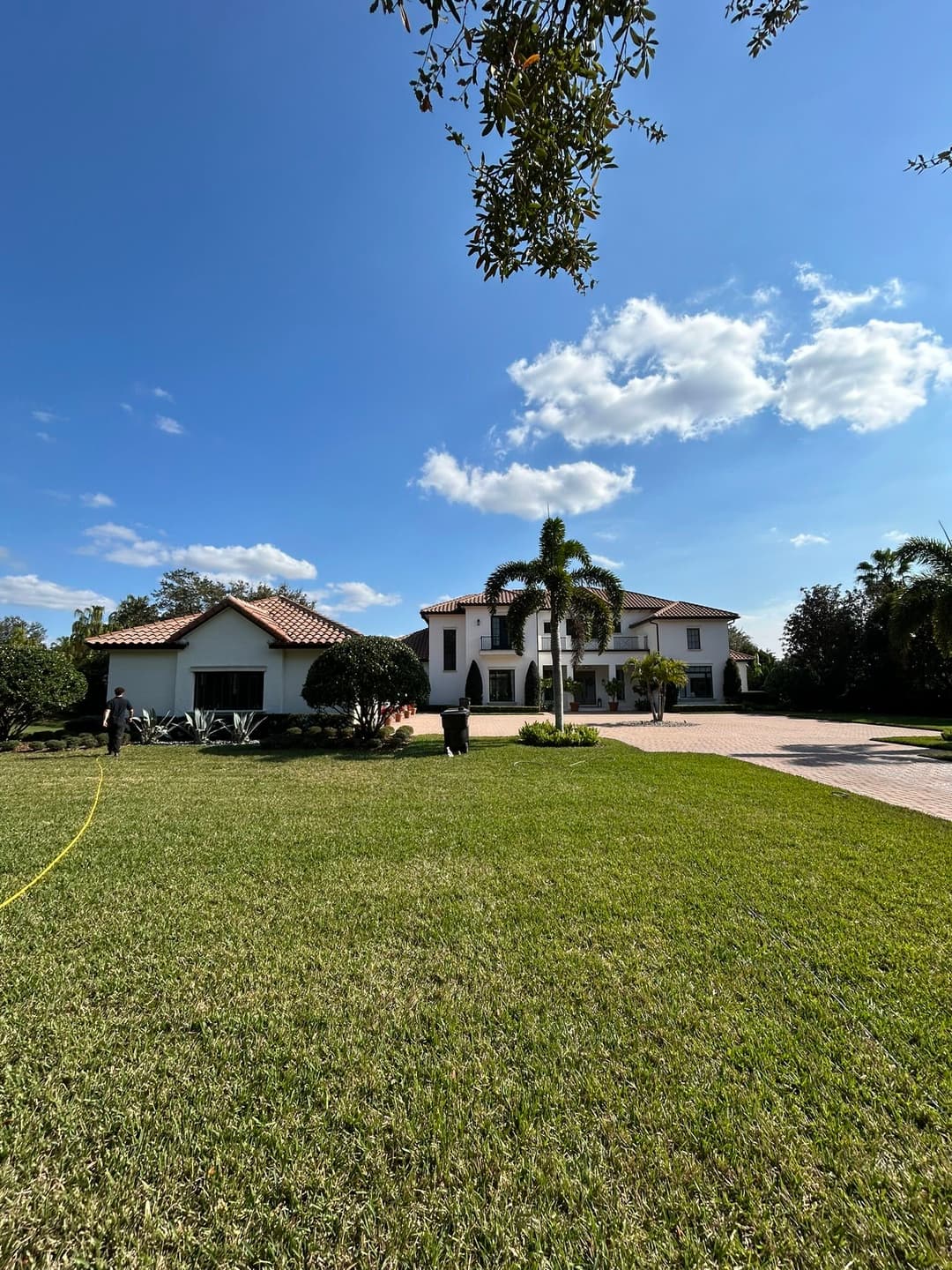 Sunny residential landscape featuring a two-story home and manicured lawn with palm trees.