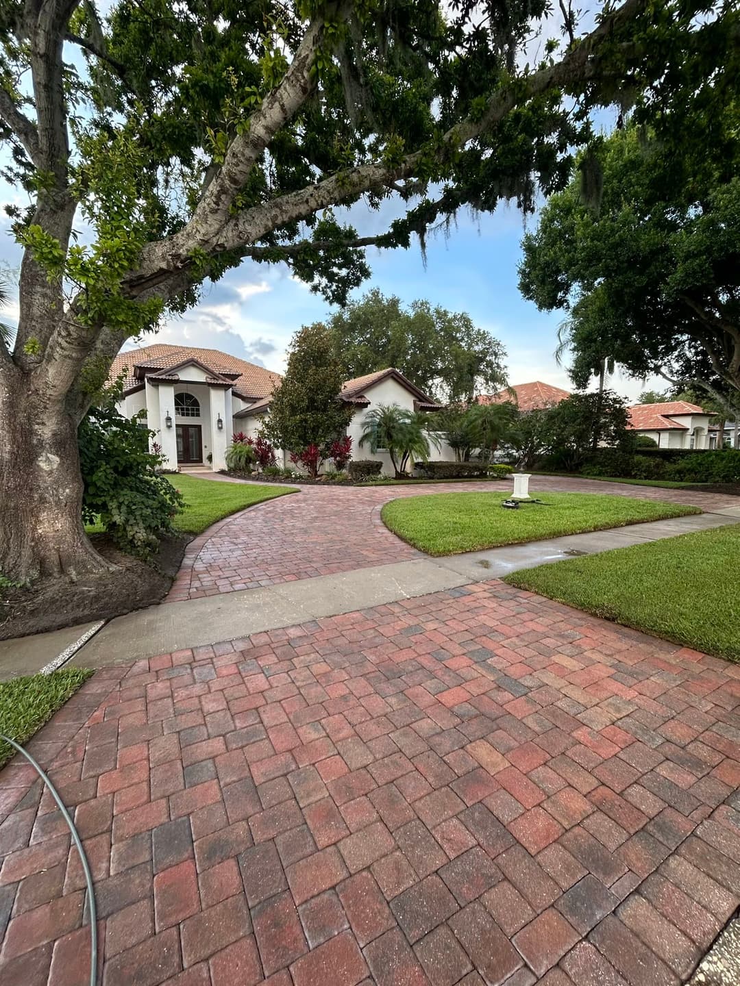 Pathway leading to a beautiful home with lush landscaping and vibrant greenery.