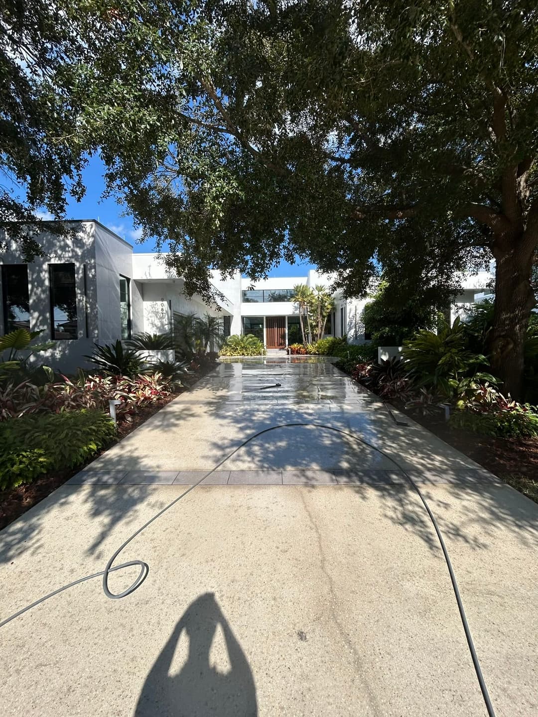 Modern residential driveway with manicured landscaping and sunlight filtering through trees.